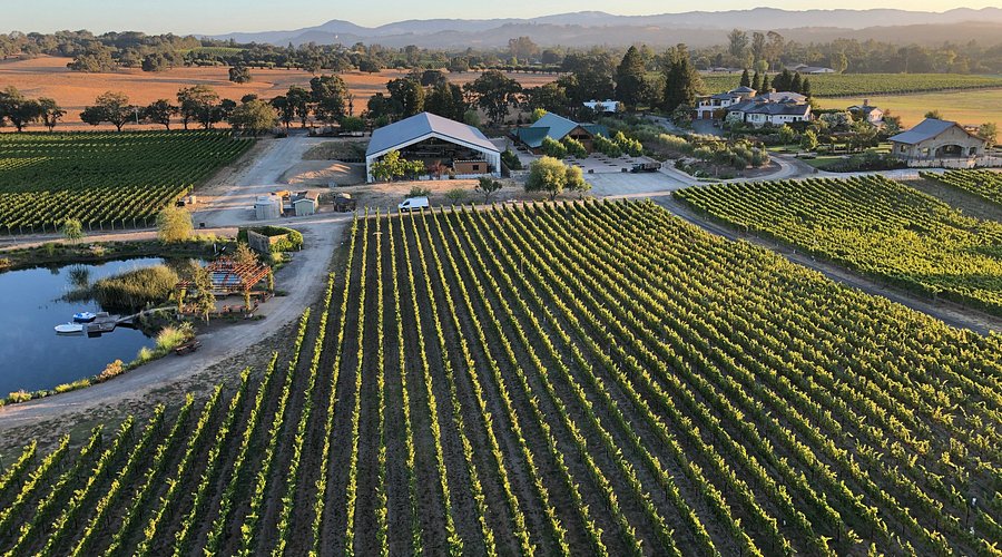 Bricoleur Vineyards — gallery 6