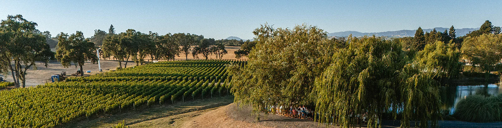Gold package — Bricoleur Vineyards